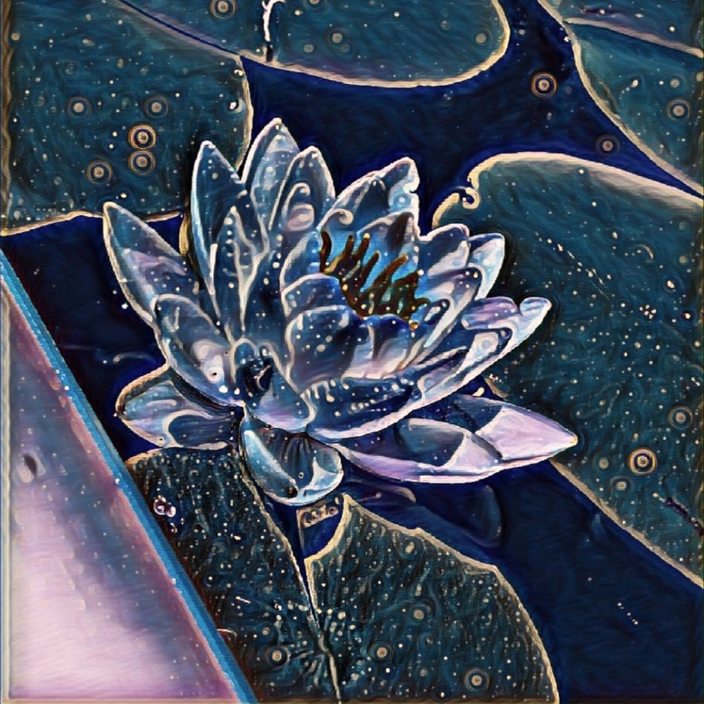 Meet your Posher, Shirley gina